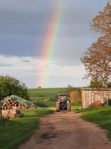 Urlaub auf Bauernhof Thüringen Bei Matthesens Landwirtschaft